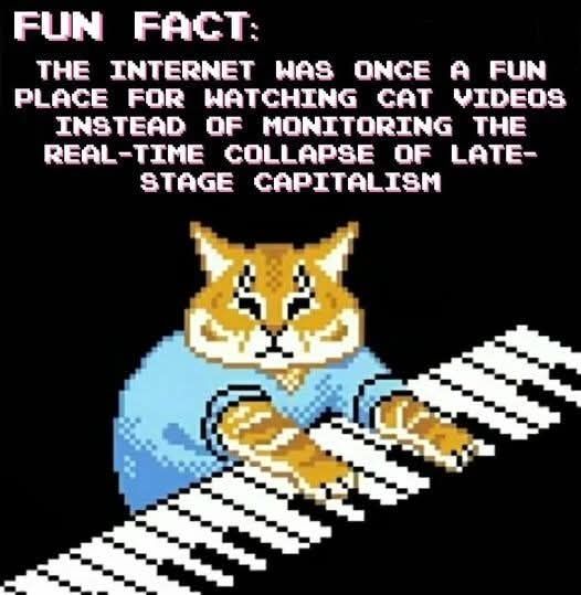 A cartoon cat playing a keyboard with the text "Fun Fact: The Internet was once a fun place for watching cat videos instead of monitoring the real-time collapse of late-stage capitalism."