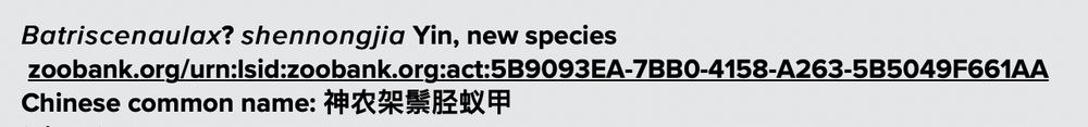 screenshot of new species header, with a question mark on the genus assignmet.
