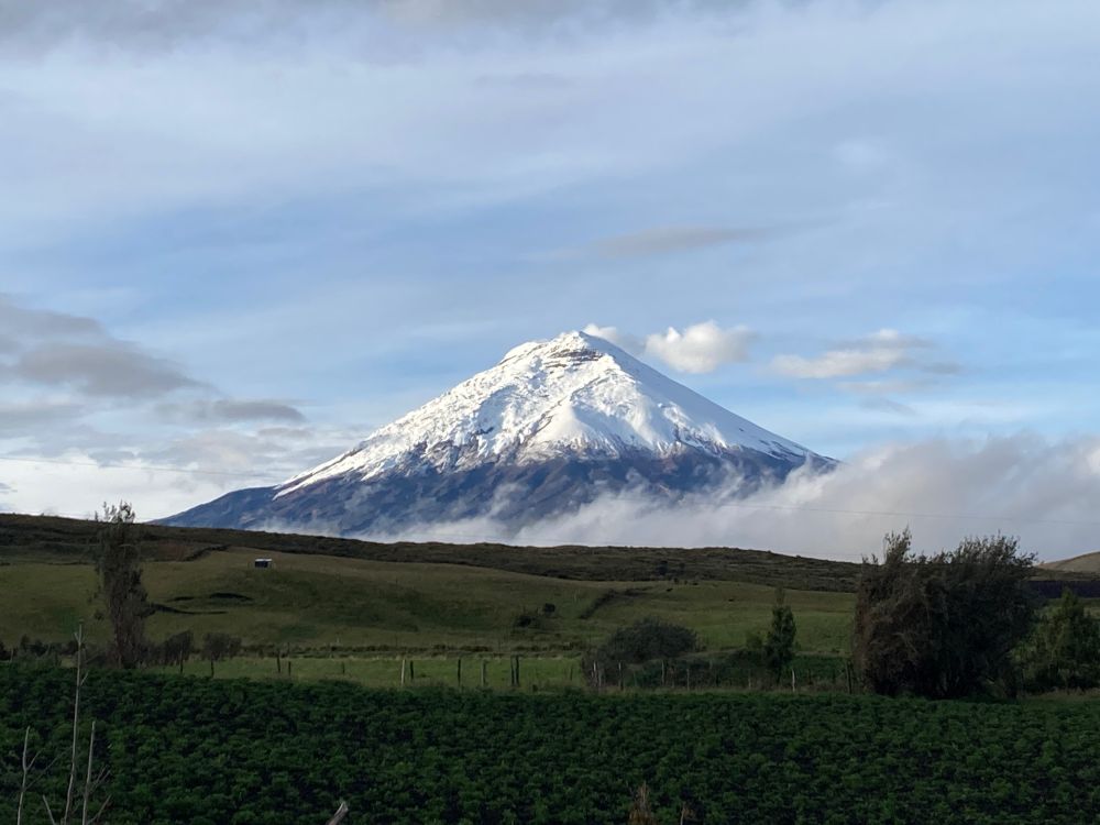 Cotopaxi, snowcapped and blue sky surrounded.