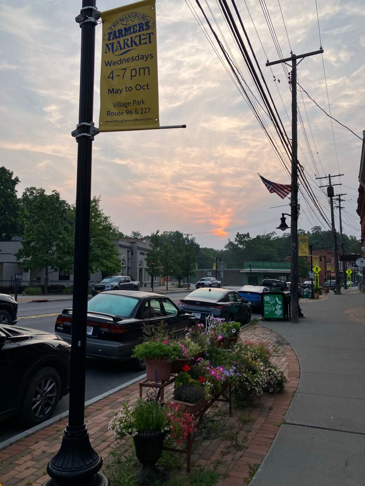 Looking down Main Street with some flowers in the foreground and a smear of an orange sun rising 