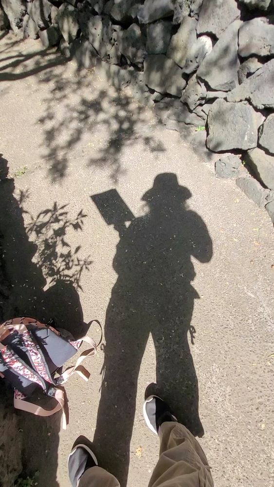 Hace rato vinimos al Jardín Botánico en CU a tomar taller de dibujo botánico naturalista. 🌿