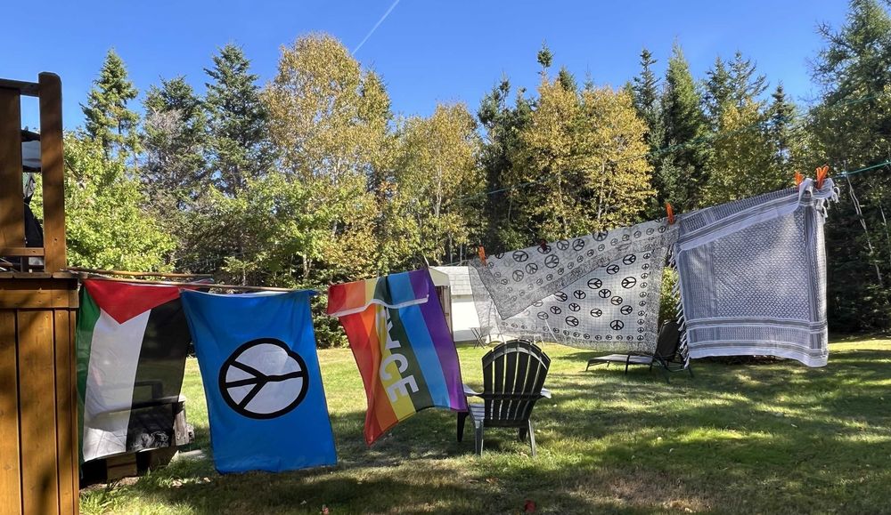 clothesline with Peace and Palestinian flags