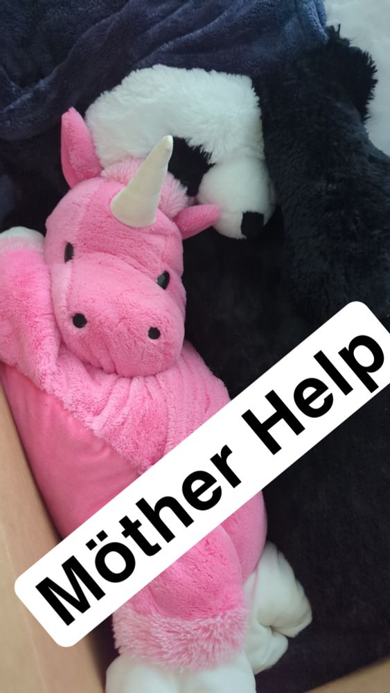 A panda and unicorn stuffed animals contorted in a cardboard box as packing material with the caption "Möther Help"