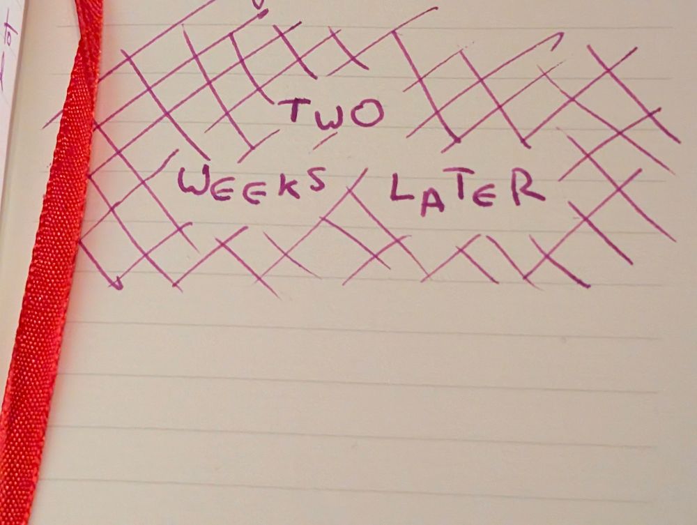 A page in a diary with a Spongebob-esque title card at the end of an incomplete entry, reading "two weeks later"