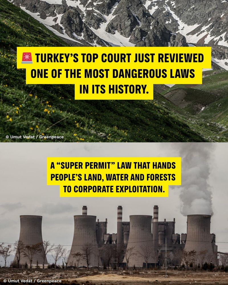 Two photos from Turkey showing the contrast between nature and industrial destruction.
The first image shows a lush green mountain slope dotted with yellow flowers, with text reading: “Turkey’s top court just reviewed one of the most dangerous laws in its history.”
The second image shows a coal power plant with large cooling towers emitting smoke, with text reading: “A ‘super permit’ law that hands people’s land, water and forests to corporate exploitation.”
© Umut Vedat / Greenpeace
