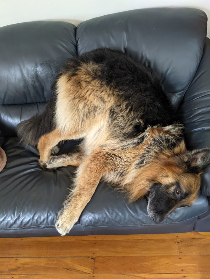 A G Shep Anu, ... sitting on a couch on his face