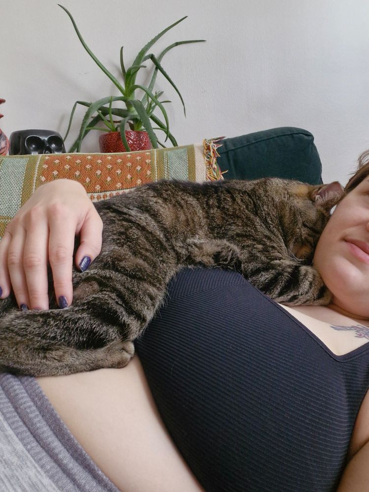 a brown tabby cat laying across my entire torso with his face smooshed into my chin