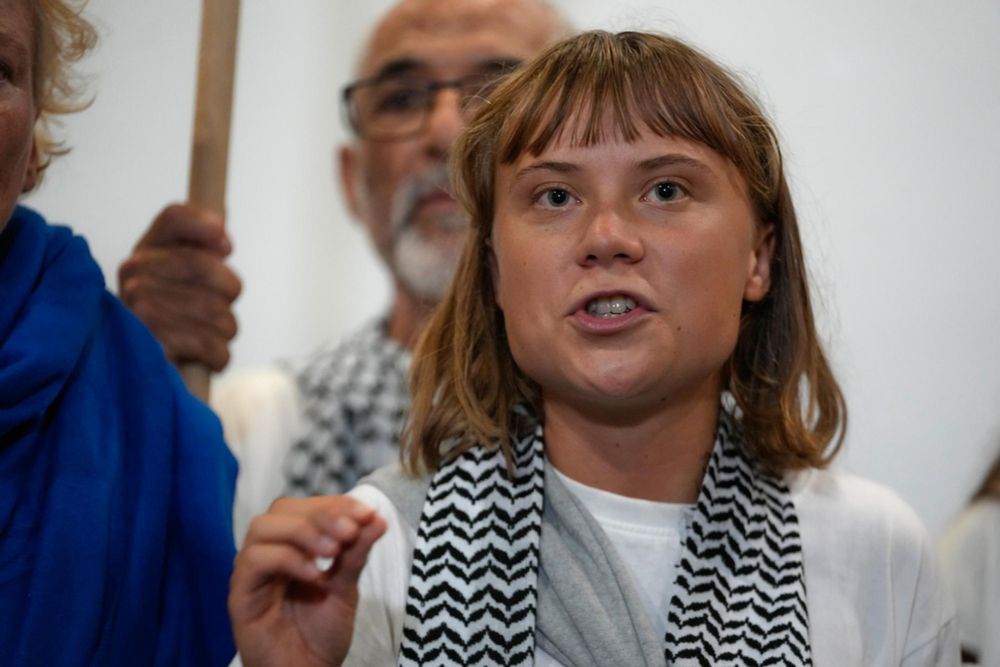 A picture of Greta Thunberg.