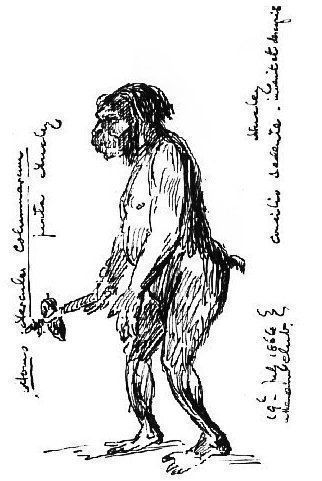 A black-and-white sketch of a robust, bearded prehistoric human figure (Neanderthal), shown in profile facing left. The figure is holding a simple stone tool or club in its right hand, with heavy brows and a sloped forehead. Handwritten notes in cursive script surround the figure on the left and right sides. The sketch has a rough, expressive line style.
