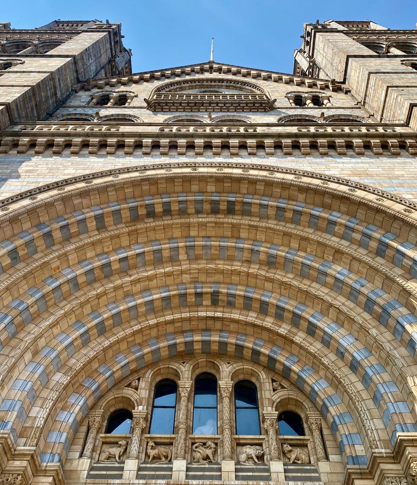 Upward view of the grand arched entrance of the Natural History Museum in London, with alternating bands of cream and blue-gray terracotta tiles, ornate carvings of animals above arched windows, and two towers rising against a blue sky.