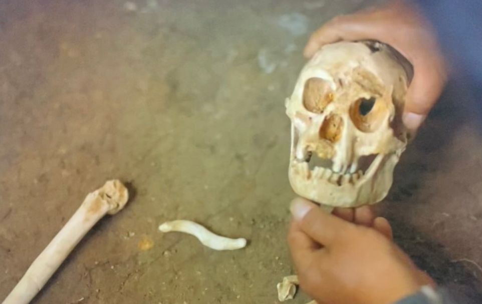 A person holds a small ancient hominin skull over a dirt ground. Nearby are other bones, including an arm bone and a clavicle.