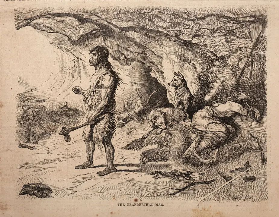A black-and-white 19th-century illustration titled "The Neanderthal Man," showing a rugged, hairy, ape-like man standing barefoot at the entrance of a cave, holding a primitive axe. He is clothed in fur and looking outward. Inside the cave, two wolves or dogs lie resting, and another watches the standing figure. A second human figure lies on the ground, partially covered in animal pelts, appearing to sleep or rest. Scattered bones, weapons, and tools are strewn across the cave floor, contributing to the scene’s primitive and dramatic atmosphere. The rock ceiling of the cave arches overhead.