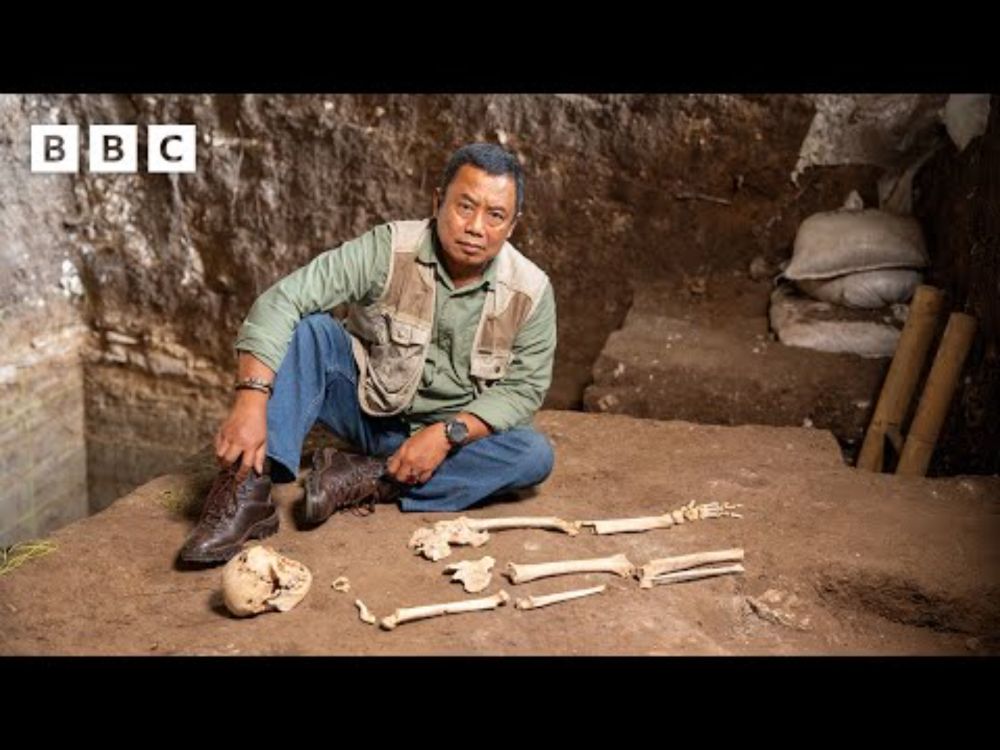 Discovering a NEW species of human - BBC