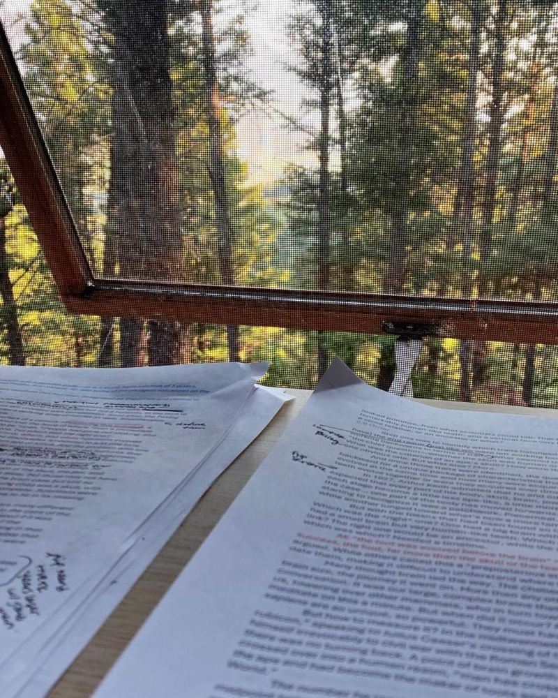 A stack of printed, annotated manuscript pages lies on a wooden desk, with handwritten notes and edits visible in black and red ink. In the background, a screen covers an open window, revealing a forest with tall pine trees and sunlight filtering through the branches.