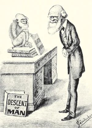 Sketch of a skinny, bearded man dressed in a suit facing a bearded monkey caricature who is seated on a desk atop a stack of books including origin of species. on the floor is the book descent of man.