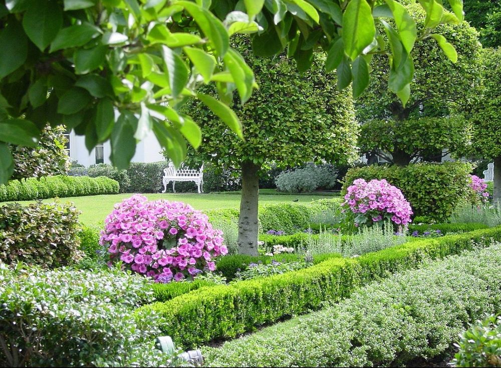 Rose garden before it was paved over and turned into a mausoleum. Here it is grass with rose bushes in bloom, pink/purple, trees, shrubs, benches…