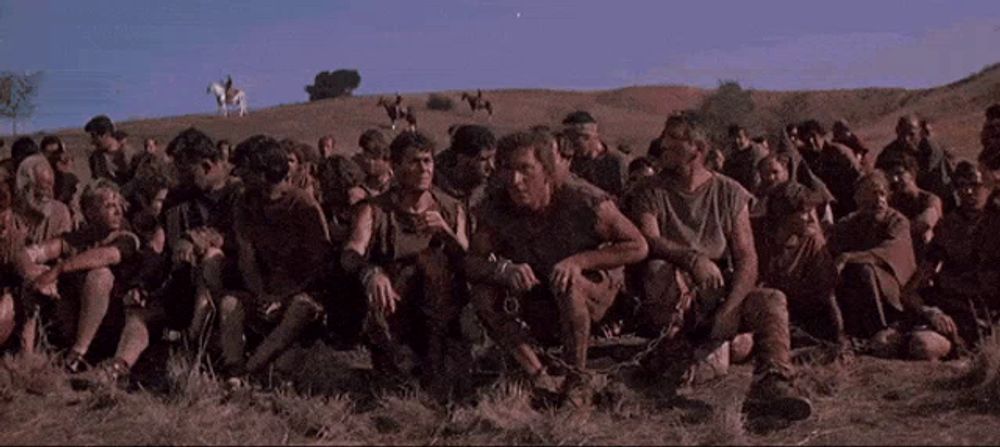 a group of people are sitting in a field with a horse in the background