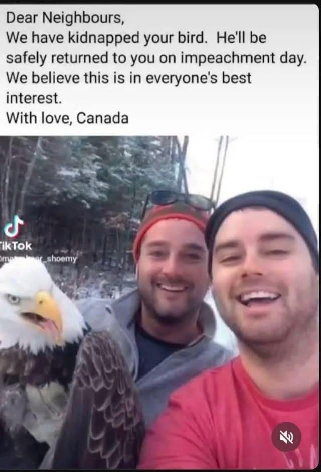 Dear neighbours, we have kidnapped your bald eagle. He’ll be safely returned to you on impeachment day. We believe this is in everyone’s best interest. Sincerely, Canada