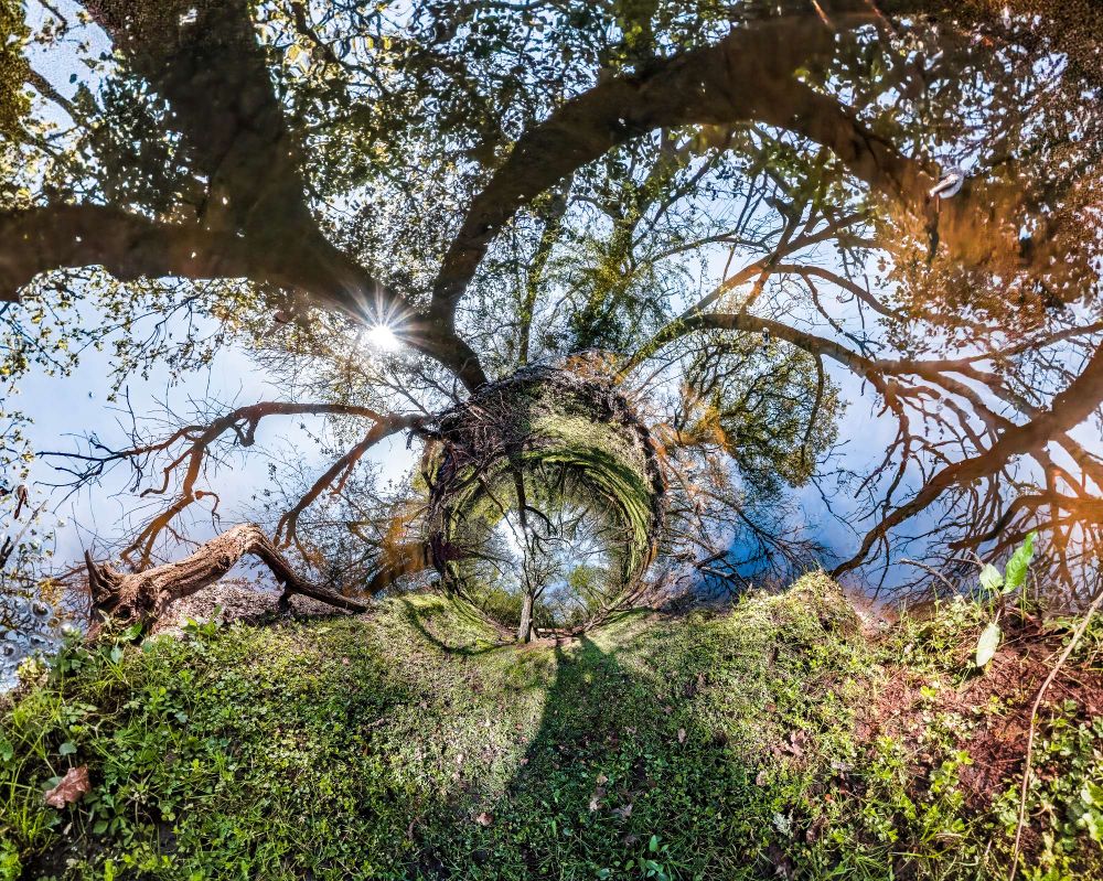 360 panorama of a forest river, the sky becomes water and a path leads to another world.