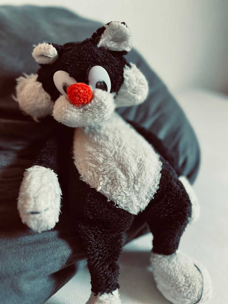 altes, liebgehabtes Kuscheltier Sylvester, lässig auf einem Kissen abhängend