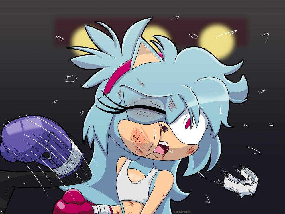 Cage landing a KO punch on Sparks the Hedgehog