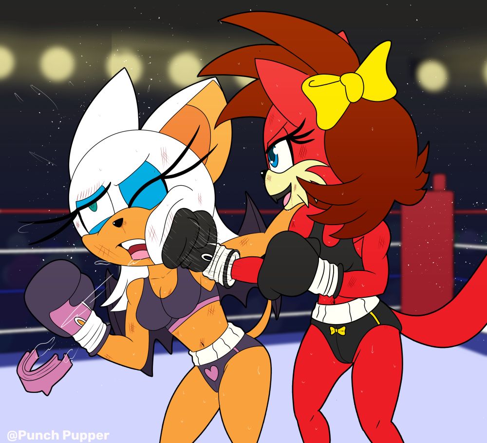 Fiona the Fox landing a Hard Blow on Rouge the Bat