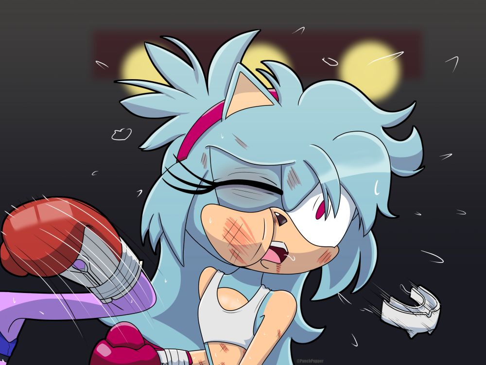 Marie landing a KO Punch on Sparks the Hedgehog