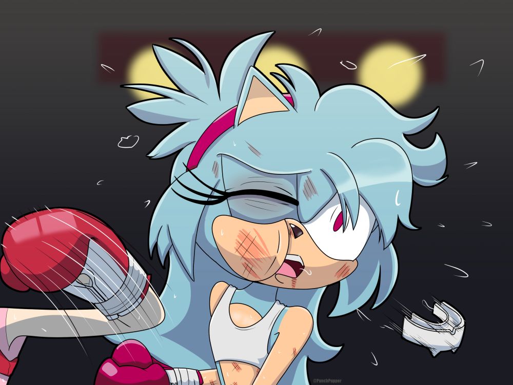 Amy landing a KO punch on Sparks the Hedgehog