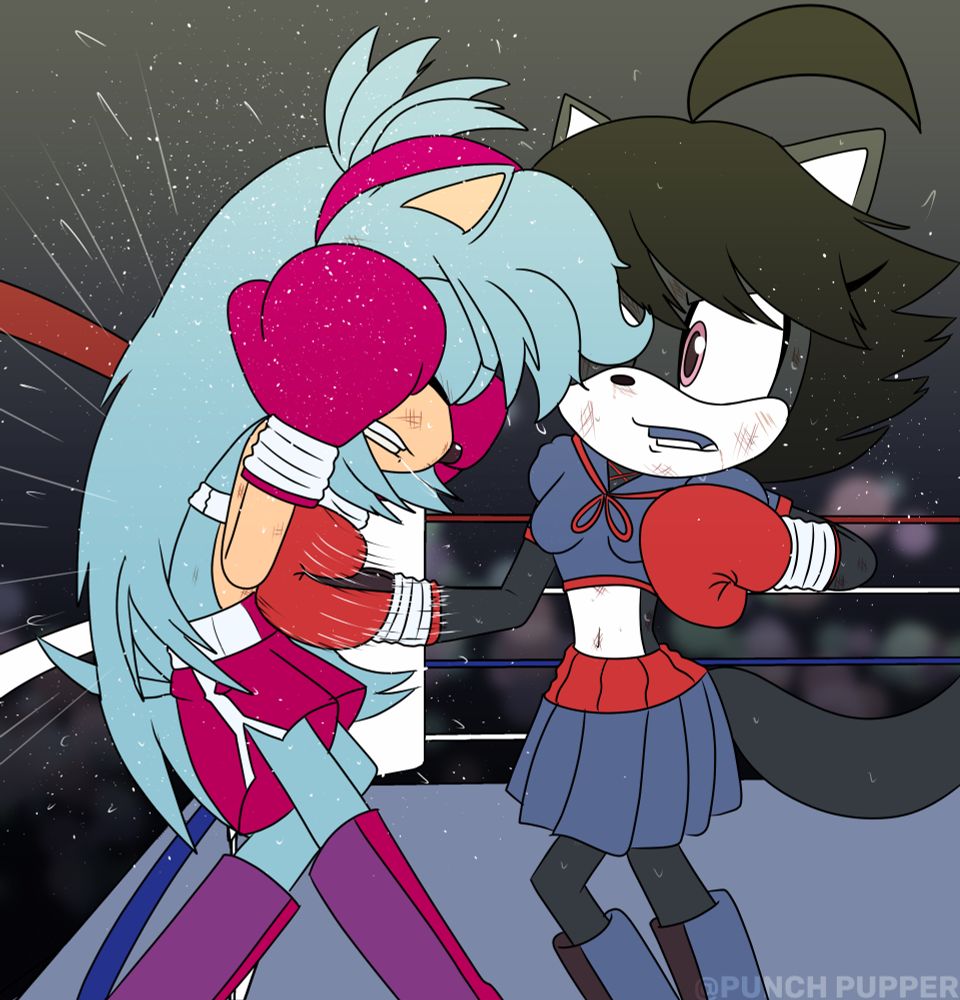 Sparks the hedgehog receiving a hard body blow from Tinker
