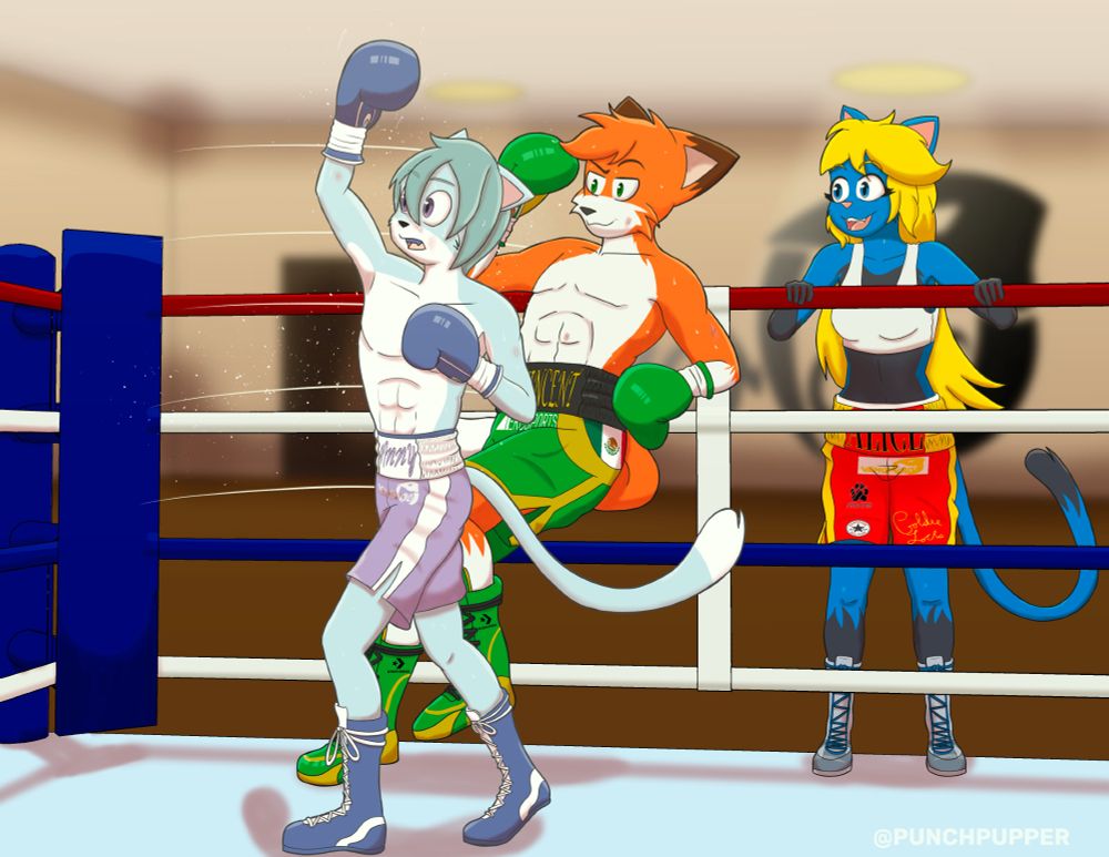 a teenage cat OC is boxing with a adult Fox OC with a another Blue Cat OC watching and cheering them on. The teenage cat is throwing a punch thats being skillfully dodged by the larger more experienced fox OC.