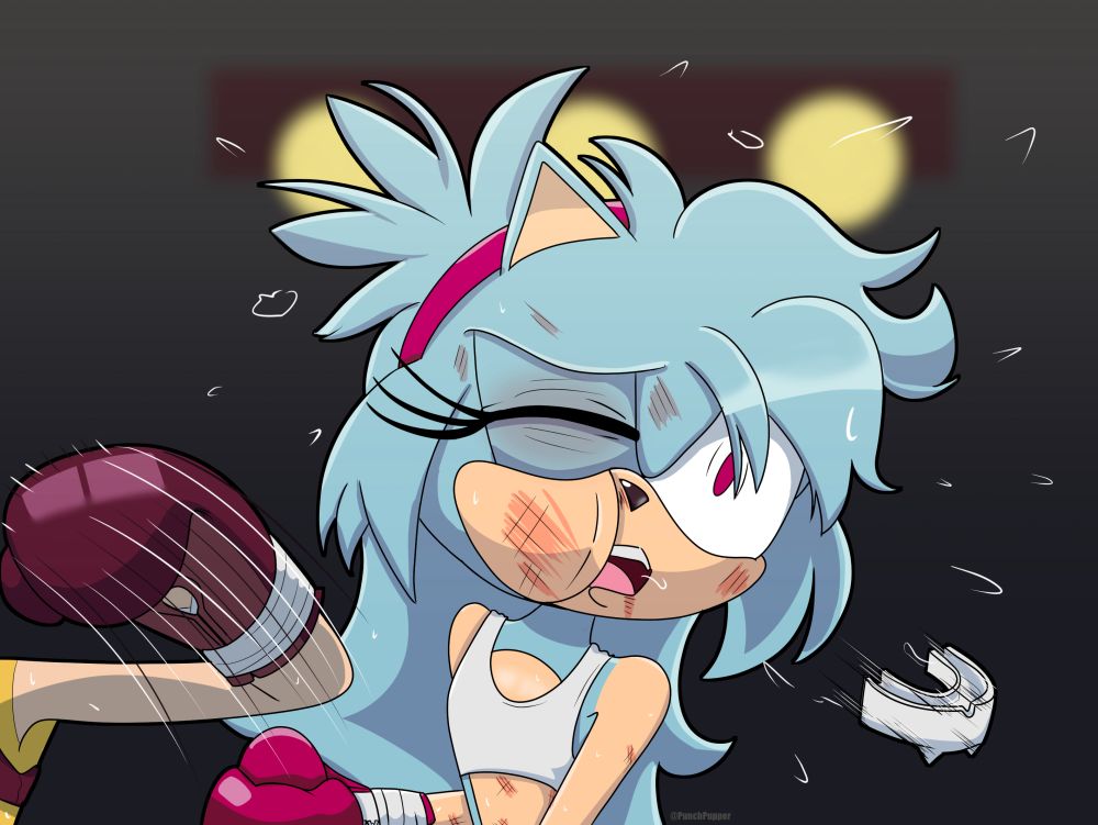 Hazel landing a KO punch on Sparks the Hedgehog