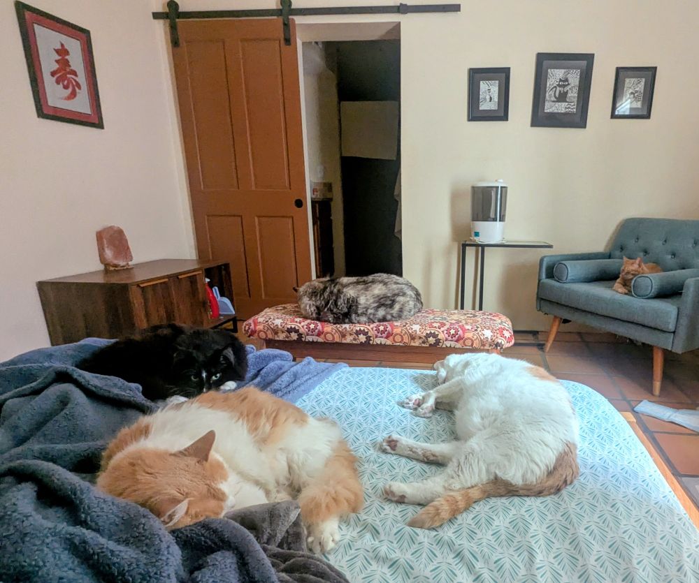 A void floof, a creamsicle floof, a French creamsicle, a tortie point girl, and an orange kitty boy are all taking a nap in a bedroom.