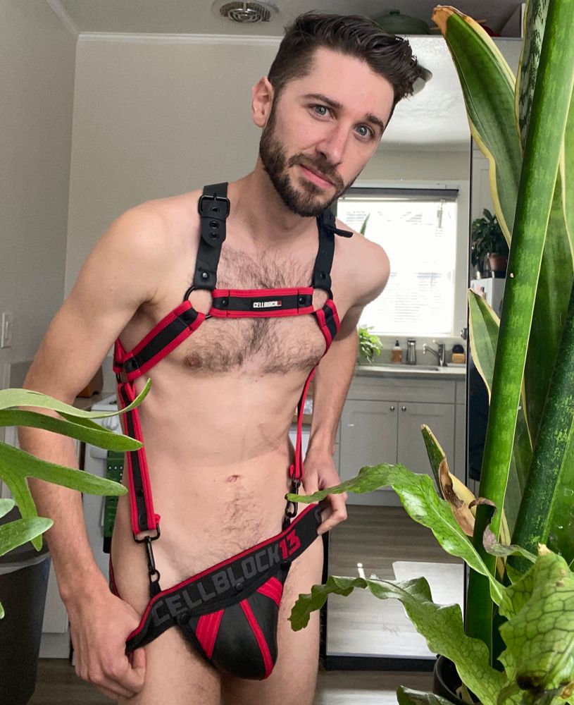 Standing in my red and black harness and jockstrap. On the band of the jock, and on the harness it says Cellblock13. I’m holding onto the jock and pulling it down a little. To my side is my snake plant, crocodile fern, and staghorn fern. Behind me is also a tall mirror. 