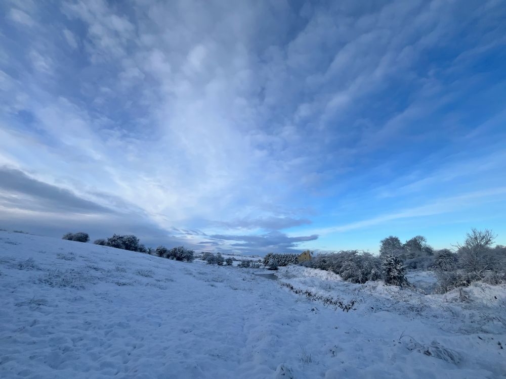 A snowy landscape featuring blue sky and a frozen pond.