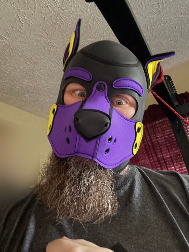 Purple pup with an out of control beard.