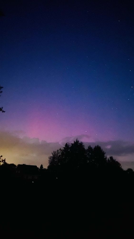 Aurora lights at a dark blue sky above black trees. Also some clouds there
