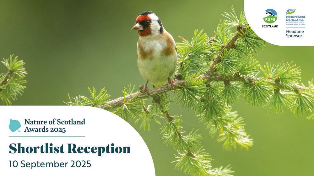 An image of a colourful Goldfinch sitting on a branch. The RSPB Scotland and NatureScot logos are in the top right. In the bottom left it says Nature of Scotland Awards 2025 Shortlist Reception 10 September 2025