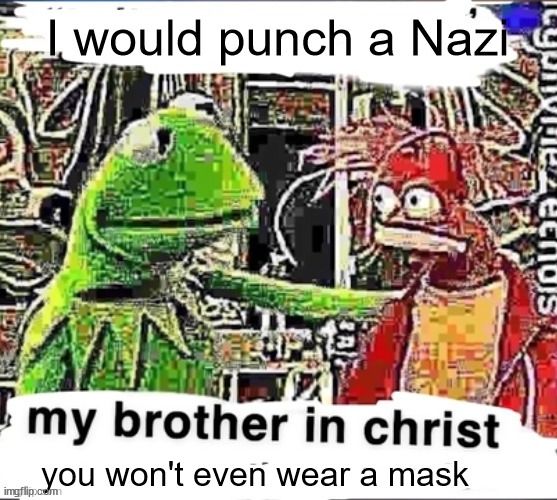 A Muppet says, "I would punch a Nazi"
Kermit responds, "My brother in Christ, you won't even wear a mask." 