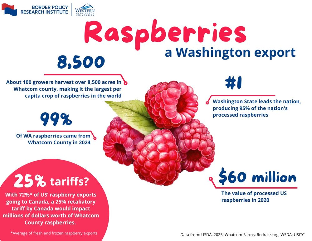 infographic with facts and figures about raspberry trade in Washington