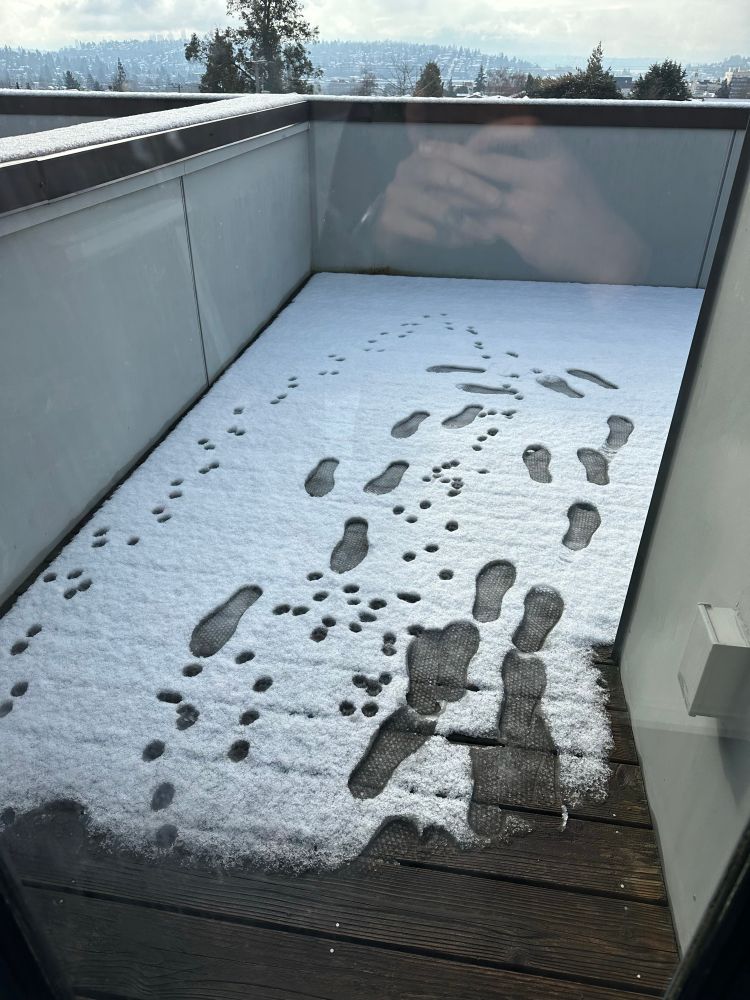 Foot prints alongside tiny cat paw prints in the snow. They lead out for a few steps then return. It wasn’t a long walk