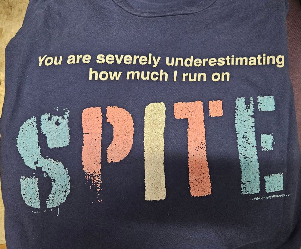 Navy blue shirt that  reads "You are severely underestimating how much I run on SPITE."

Up until the word spite, it is in white lettering. The word spite is in the colors of the trans flag, blue, pink, and white.