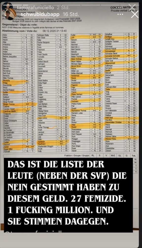 DAS IST DIE LISTE DER
LEUTE (NEBEN DER SVP) DIE NEIN GESTIMMT HABEN ZU
DIESEM GELD. 27 FEMIZIDE.
1 FUCKING MILLION. UND
SIE STIMMEN DAGEGEN.