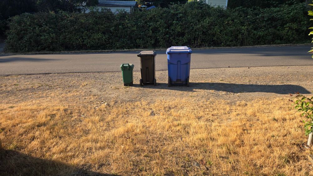 Three garbage bins waiting for pickup at the curb. 