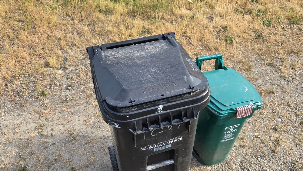 2 garbage bins waiting at the curb