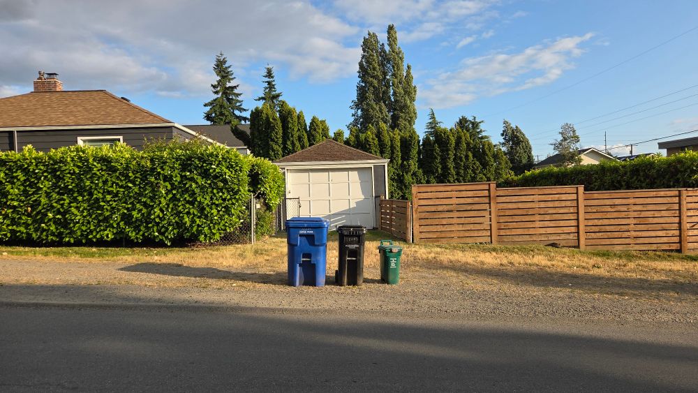 3 garbage bins at the curb