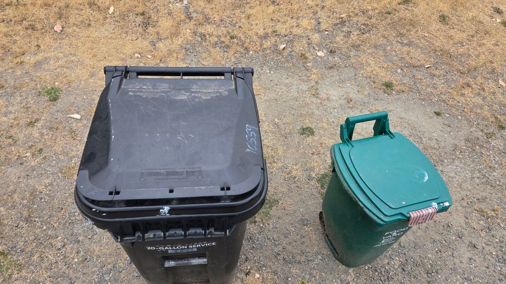 Two garbage bins at the curb