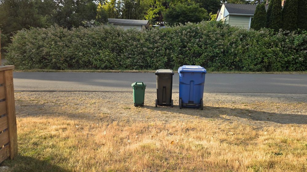 3 garbage bins at the curb