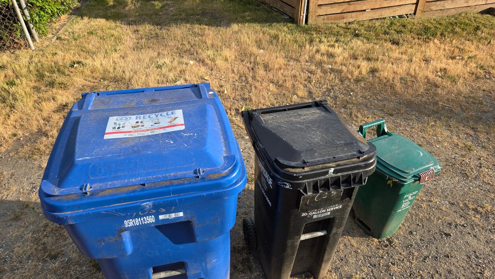 3 garbage bins at the curb
