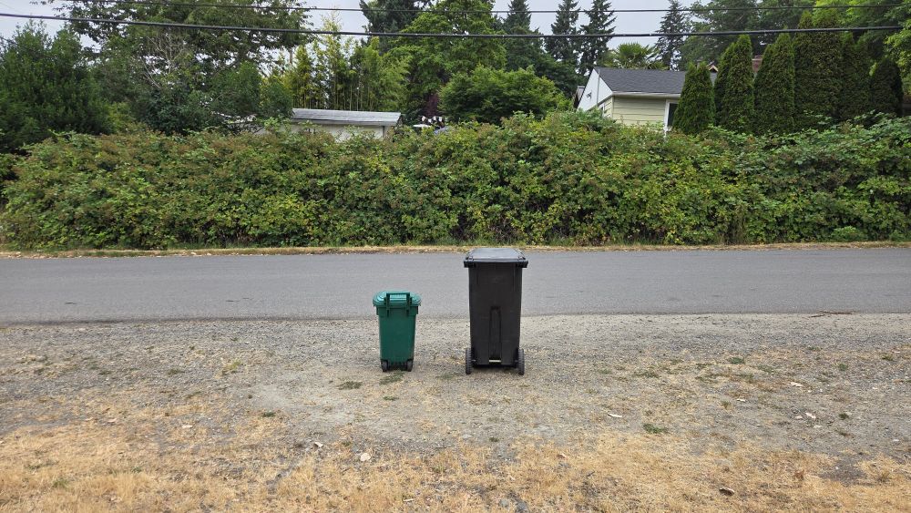 Two garbage bins at the curb