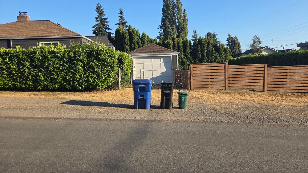 Three garbage bins waiting for pickup at the curb. 